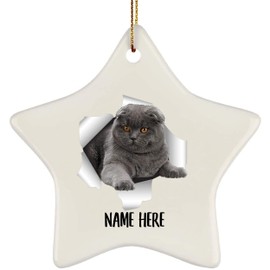 Customized Name Scottish Fold Cat Blue Grey Crack Hole Gifts 2024 Christmas Tree Ornaments Star