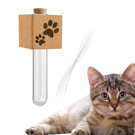 Cat Whisker Jar Fridge Magnet, Cat Whisker Vase, Tiny Vase for Cat Whisker, Loss of Cat Sympathy Gift, Cat Whisker Collector, Cat Whisker Holder, Beech Wood