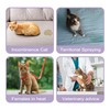Paw Legend Cat Diapers for Female Cats Spraying Washable Reusable