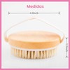 Cepillo Exfoliante Corporal con Cerdas Naturales | Masaje Anticelulitis, Detox