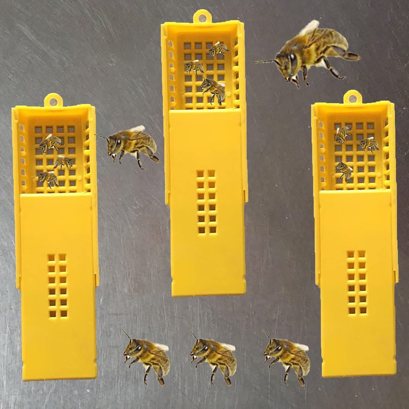 Bee Queen Cages, Plastic Queen Bee Cages, Queen Bee Cages,
