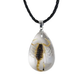 POYAMUSE Real Scorpion Pendant Necklace for Men and Women - Resin Bug Necklace, Scorpion Pendant Necklace - Amber Insect Necklace - Yellow