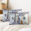 Money Throw Pillow Cover Queen Size Set of 2, 100