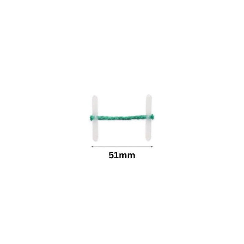 Paper Sense | 100 X 25mm Treasury Tags | Green