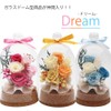 Hula Deco "Dream" Glass Dome 7.5 x 7.5 x 13.5