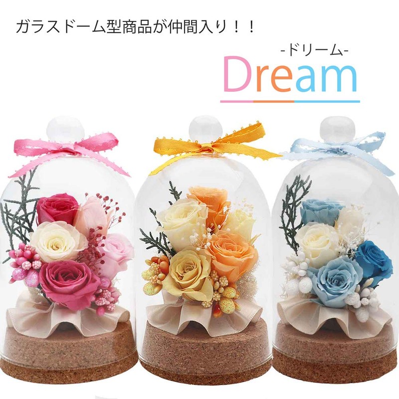 Hula Deco "Dream" Glass Dome 7.5 x 7.5 x 13.5