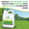 Organic Liquid Lawn & Turf Food - Quickly Rejuvenates Lawn