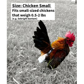 Chicken Diapers Duck Diaper Diaperalls for Hens, Roosters, Ducks, Ducklings - Reusable, Adjustable by Uni Infinity (Lavender Polka Dots, Chicken Small, 1, Count)