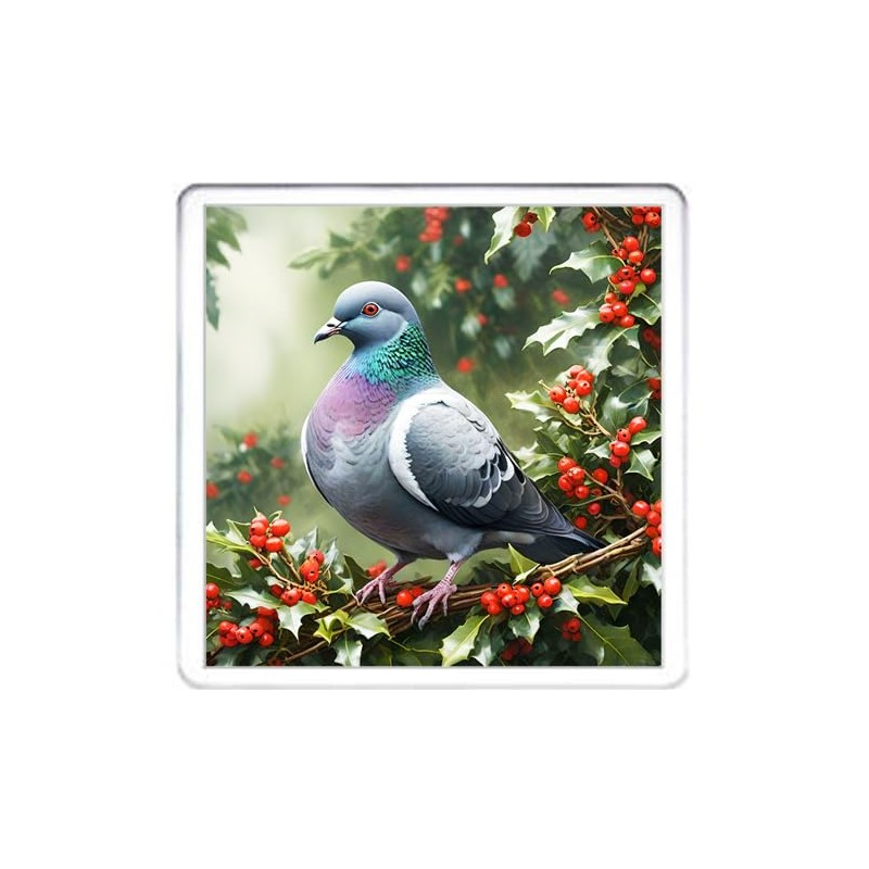 Pigeon Coaster Set. 4 different Pigeon Pictures on 10cm x