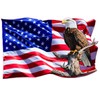 American Flag with Bald Eagle Decal, Patriotic USA Flag Decal