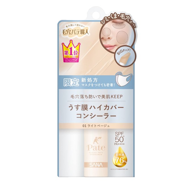 Pore Putty Artisan Multi-Pore Flat Concealer 01 (Light Beige)