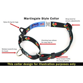 Puerto rico Dog Collar | Puerto rico Flag | Martingale Slip-On | Made in NJ, USA | for Large Dogs | 1 inch wide