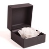 ROSEMARIE SCHULZ Heidelberg Rose Box 1 Infinity Rose White Preserved
