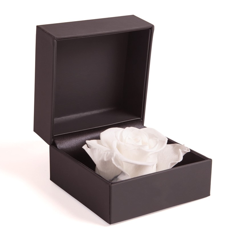 ROSEMARIE SCHULZ Heidelberg Rose Box 1 Infinity Rose White Preserved
