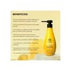 Evoque Hair Color Purification Shampoo Para Cabello Teñido