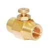 Joywayus Brass 1/4" NPT Female Thread Push Button Check Valve