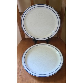 Buffalo China Set 2 Syracuse Buffalo China KINGS INN Dinner Plate 10 1/2" Blue Trim & Speckled