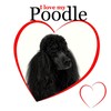 CafePress Poodle Love Throw Blanket Super Soft Fleece Plush Throw