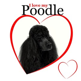 CafePress Poodle Love Throw Blanket Super Soft Fleece Plush Throw Blanket, 60"x50"