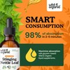 Wild & Organic Stinging Nettle Leaf Extract Drops - Urinary
