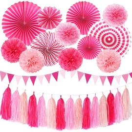 Cmaone Hotpink Party Decorations Pink Girls Paper Fan Birthday Baby Shower Tissue Pom Poms Streamers Bachelorette Party Supplies Tassel Garland Banner Wedding Decor