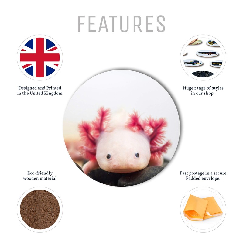 1 x Axolotl Aquarium Dragon Fish - Round Coaster Kitchen