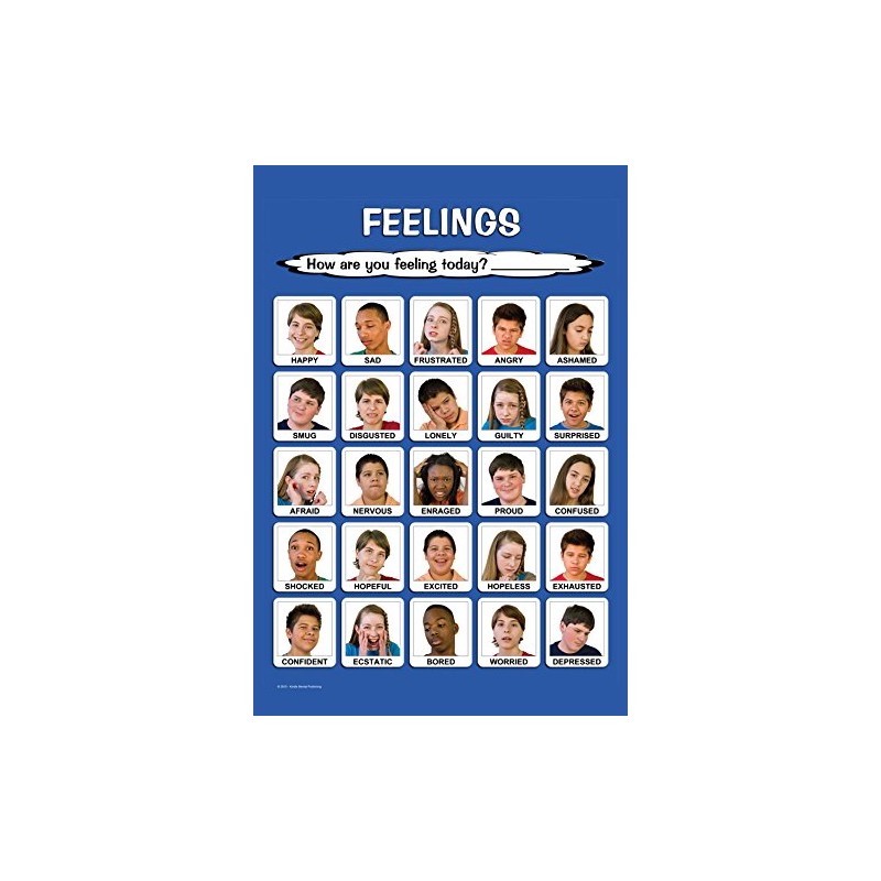 Laminated 18x24 Large Teen Feelings Poster