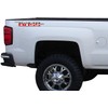 SSDD CH-Trail 2019-2021 Trail Boss Emblem 3D Badge Side Decal