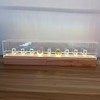 Championship Ring Display Case, Ring Display Case Acrylic Light-Up ,Collections