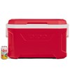 Igloo Red Profile II 50 Chest