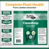 Bloom City Organic Liquid Seaweed and Kelp Fertilizer Supplement (128