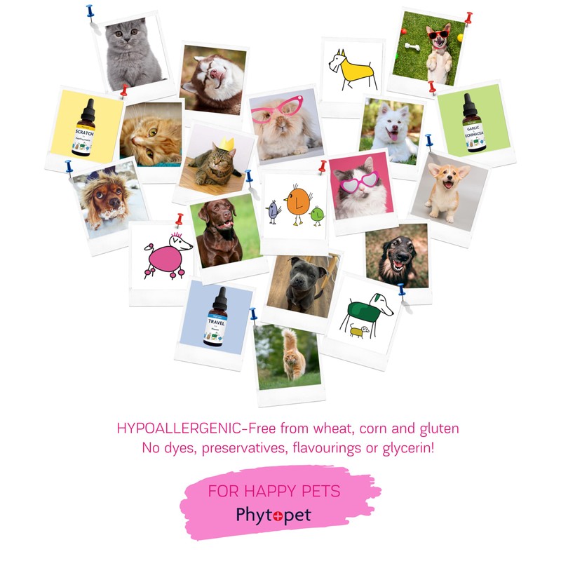 Phytopet Tum Ease | 30ml | 100% Natural Herbal Remedy