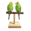 Bird Perch Stand Portable Training Parrot Playstand Parrot Cage Toy