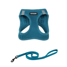 Voyager Step-in Air Cat Leash Harness Set - All Weather Mesh, Step in Vest Harness for Small and Large Cats by Best Pet Supplies - Turquoise, S (Chest 14-16")