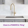 Rejuvenate Garbage Disposal and Drain Pipe Cleaner Powerful Foaming Action