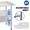 Hally Stainless Steel Table for Prep & Work 14 x