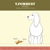 British Roasted 4" Beef Rib Bone x10 for Dogs, 100%