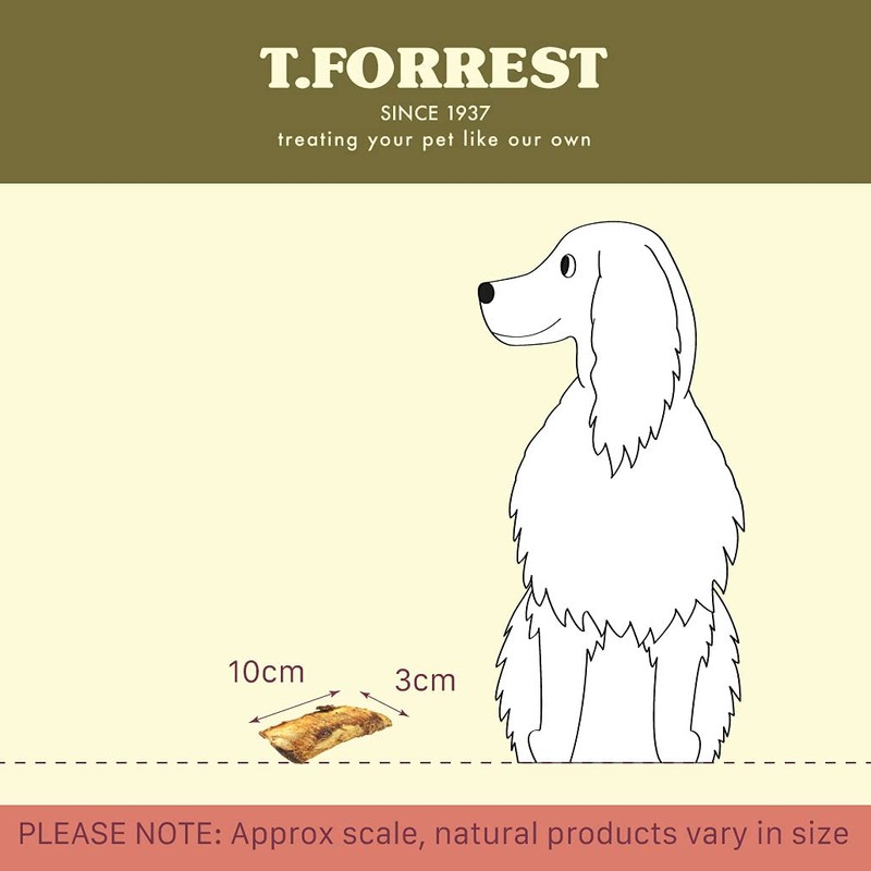 British Roasted 4" Beef Rib Bone x10 for Dogs, 100%
