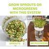 Premium Sprouts Growing Kit & Green Onion Regrower with 2
