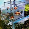 Inverted Fish Tank with Automatic Water Refill, Tabletop Aquarium with