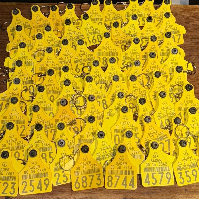 Llavero De Arete De Vaca | Cattle Tag Keychains