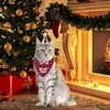 Pack of 4 Cat Birthday Accessories, Cat Birthday Hat with