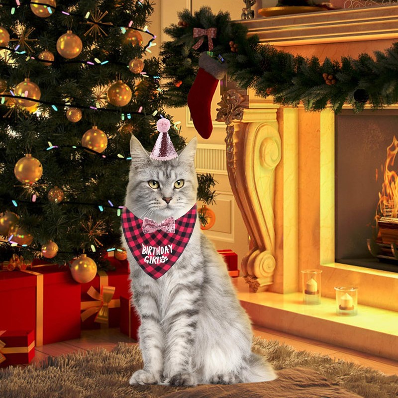 Pack of 4 Cat Birthday Accessories, Cat Birthday Hat with