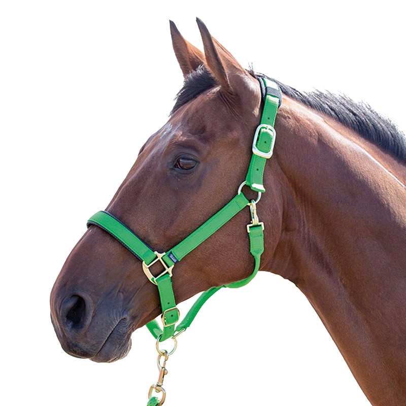 Shires Topaz Nylon Pony/Horse Headcollar - Purple Small Pony