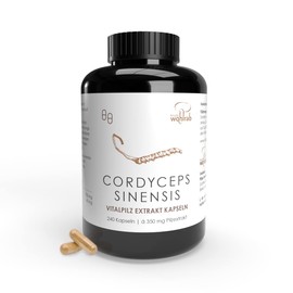 Pilze Wohlrab Organic Cordyceps Capsules High Dose 350 mg Cordyceps Sinensis Extract per Capsule Organic Acerola Vitamin C (Pack of 240)