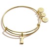 Alex and Ani Expandable Bangle for Women, Initial I Letter