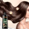 Champú para Teñir el Cabello,Champú para Cubrir Las Canas 500ml