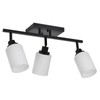 TODOLUZ 3-Lights Track Lighting Kit, Black Directional Ceiling Light Fixtures
