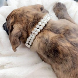Collar for Dogs, Dog Collar with Pearl, Dog Cat Fashion PU Leather Pearl Collar with Bling Rhinestone Diamond, Adjustable Chihuahua Dog Collar for Dogs, Cats, Puppies, Kittens, M, 1.5 x 33 cm