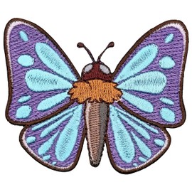 Butterfly Iron On Patch - Embroidered Butterfly Butterflies Applique Appliques Iron On Sew On Patches for Holes, Clothing, Jeans, Hat, Backpacks, Clothes, Hats, Jackets (3")